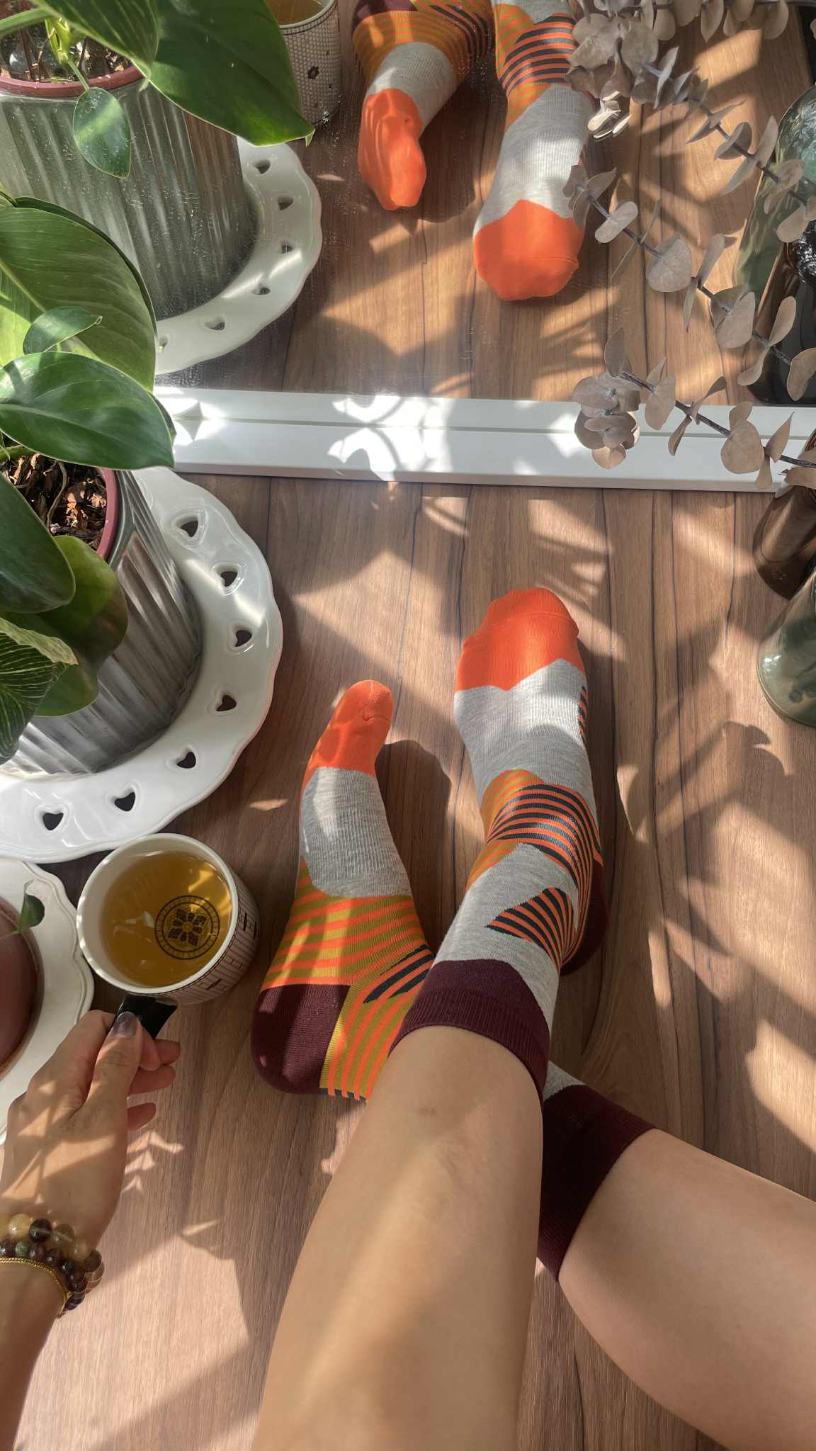 原創精梳棉成人襪_金盞之線