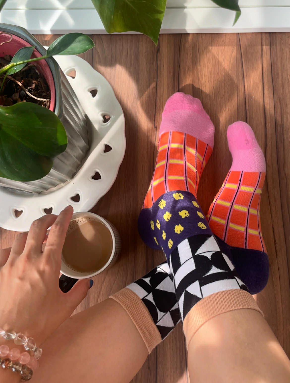 Adult Combed Cotton Socks_ Web of Thoughts